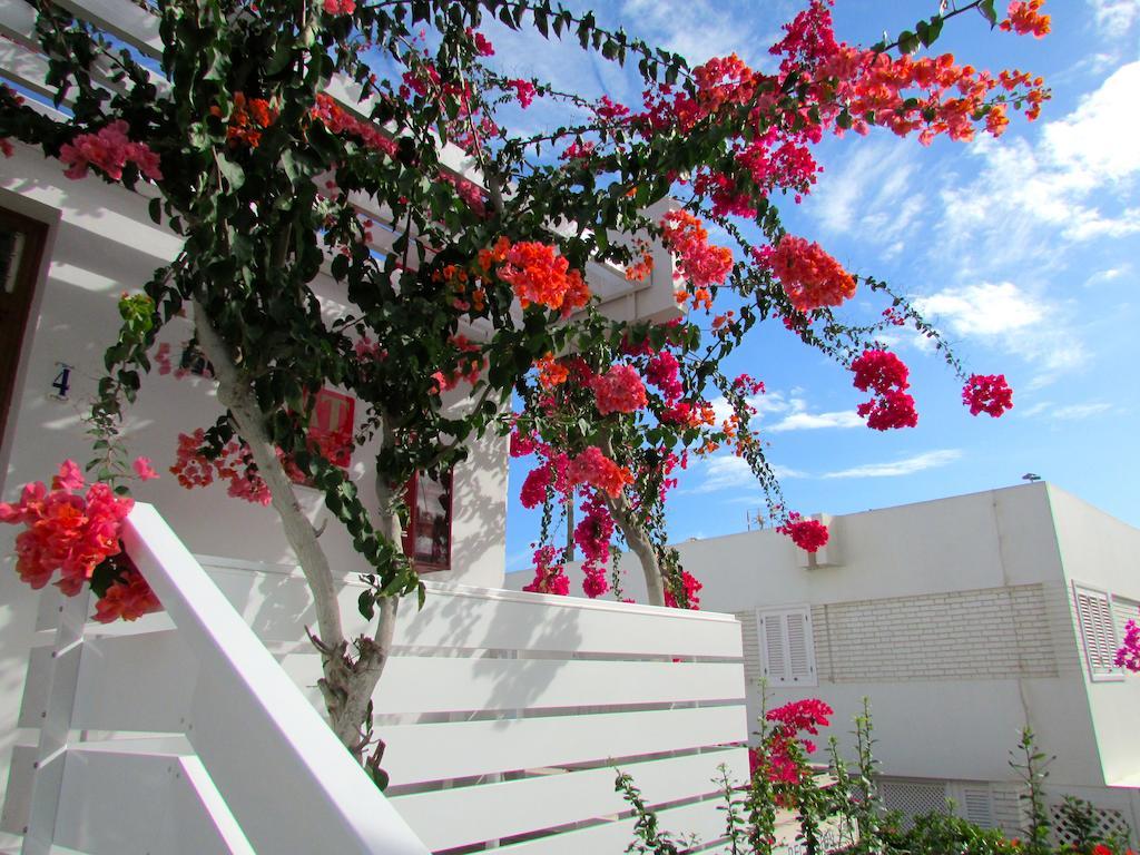 Apartment El Capricho *