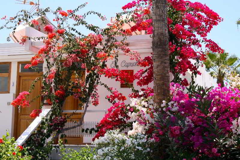 El Capricho Apartment *
